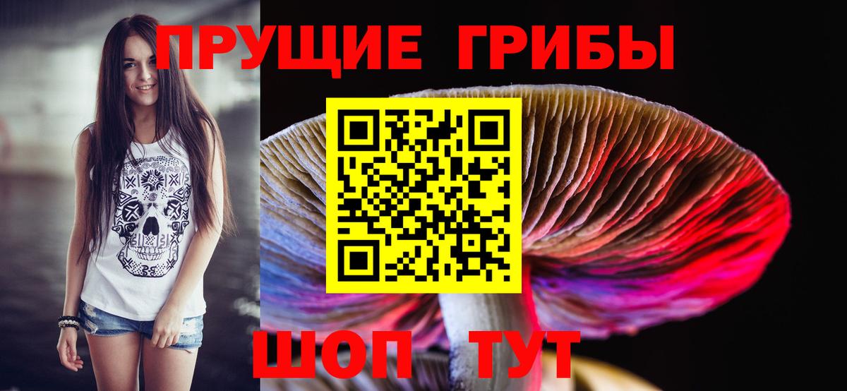 Галлюциногенные грибы Psilocybe  Вход с VPN  Чита  Псилоцибиновые грибы ЛСД 